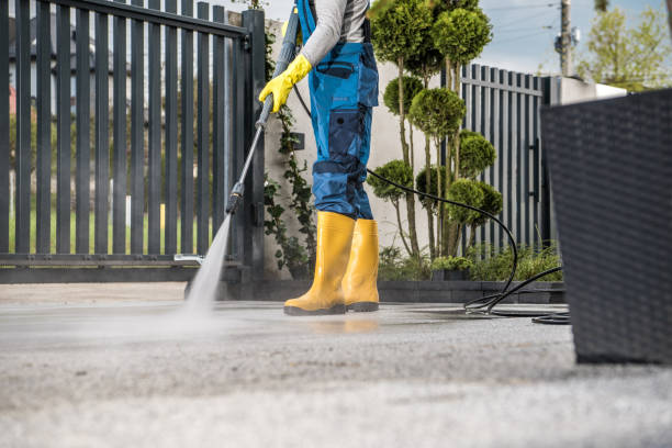 Animal Enclosure Cleaning in Lake Telemark, NJ